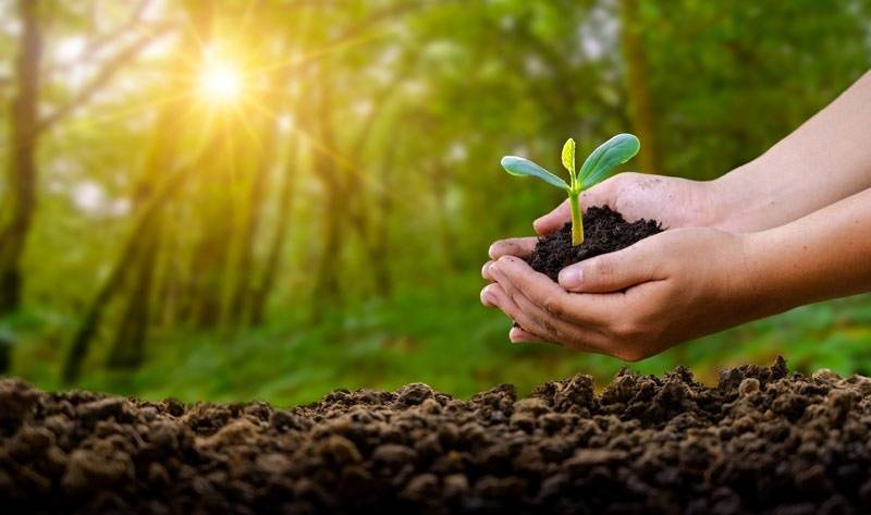 DECRETO 9.760/2019 E AS MULTAS AMBIENTAIS: AS PRINCIPAIS MUDANÇAS NO PROCESSO ADMINISTRATIVO AMBIENTAL