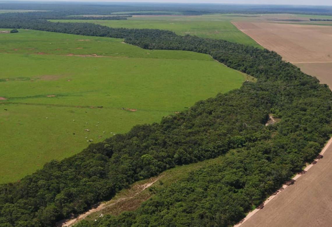 As áreas consolidadas em área de preservação permanente e o prazo para adesão ao PRA (Programa de Regularização Ambiental) 